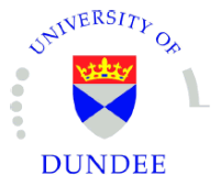 Dundee-logo.gif