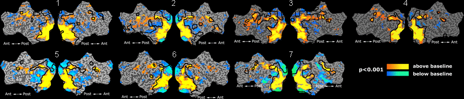 Mit fmri clustering validation.png