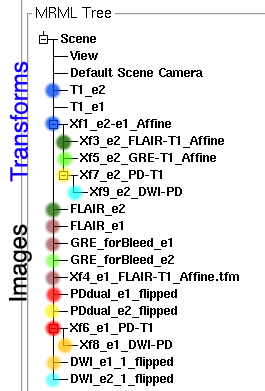 MRML tree hierarchy with images moved outside the transforms, i.e. in original position.