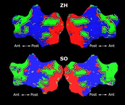 Mit fmri clustering parcellation3 shb4 5.png