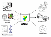 Xnat overview.gif